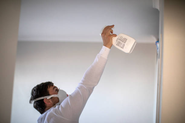 Best Commercial Mold Removal  in Carlton, OR
