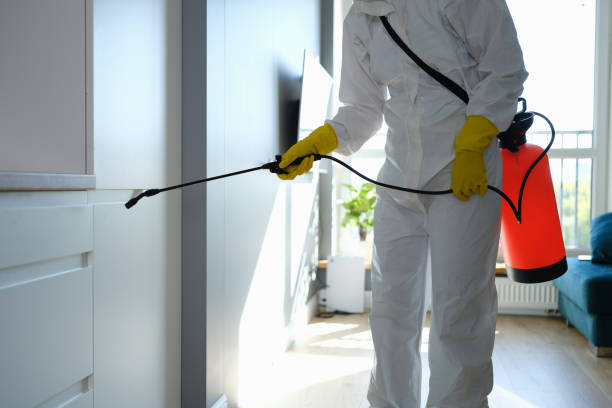 Best Mold Remediation Services  in Carlton, OR
